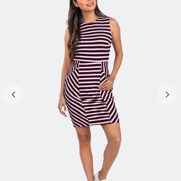 Sale NWT Leota Panel Dress in Cabana Stripe 1L - Picture 11 of 12